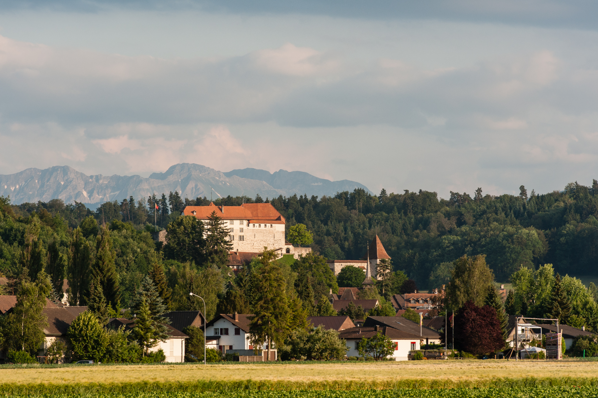 4-1507-laupen-fotobeatrice-16062014